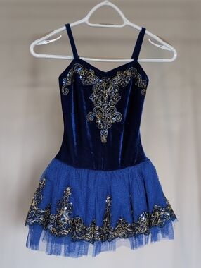 Girls Navy Blue Ballet Tutu Dress with Gold Accents